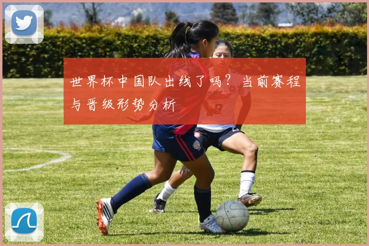 世界杯中国队出线了吗？当前赛程与晋级形势分析