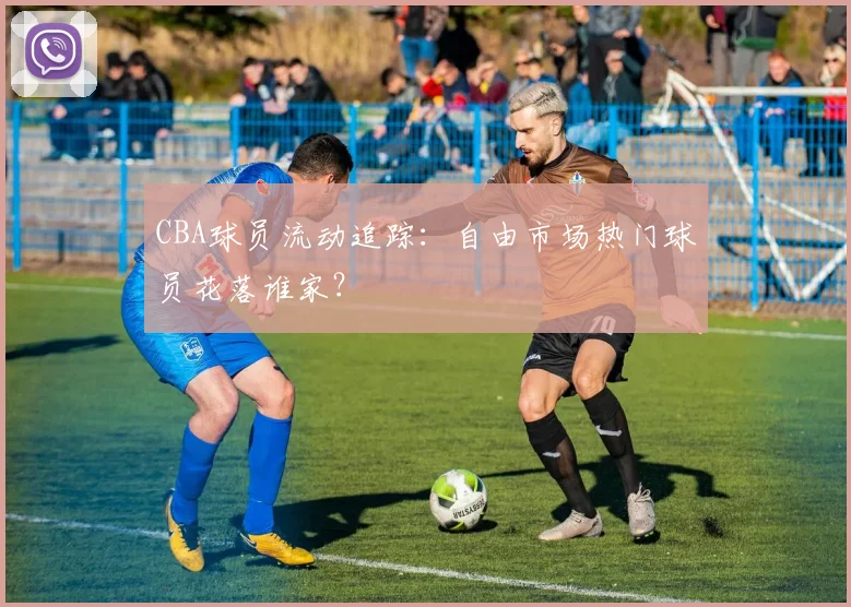 CBA球员流动追踪:自由市场热门球员花落谁家?